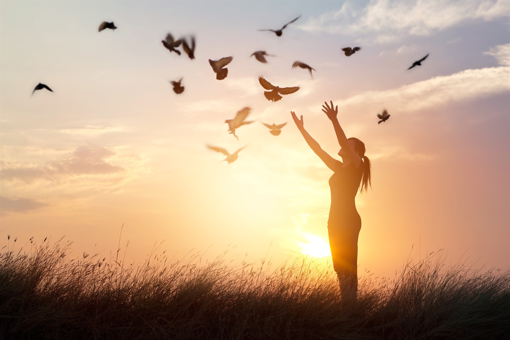 A Prayer of Forgiveness